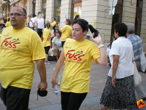 fuss_rakkutatasert_pecs_127.jpg Fuss a Rákgyógyításért Pécsen futás