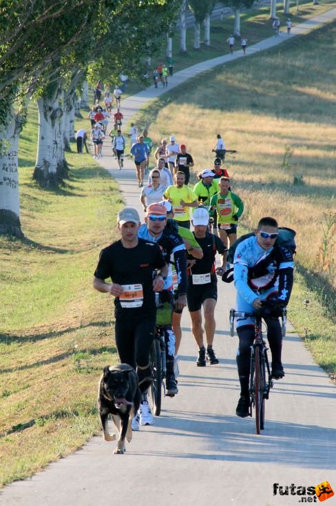 a felvezető kutya Ultrabalaton futás