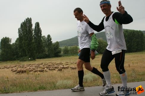 ultrarunners in Hungary Ultrabalaton futás