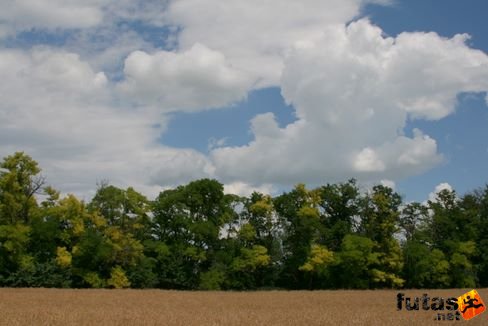 ultrabalaton_3336.jpg Ultrabalaton futás