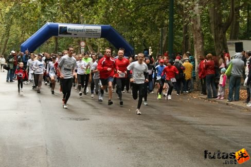 varosliget_futas_368.jpg Budapest Városliget Futás futás