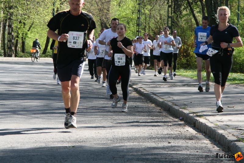 Vivicittá Félmaraton Futóverseny Budapesten, vivicitta_felmaraton_9514.jpg
