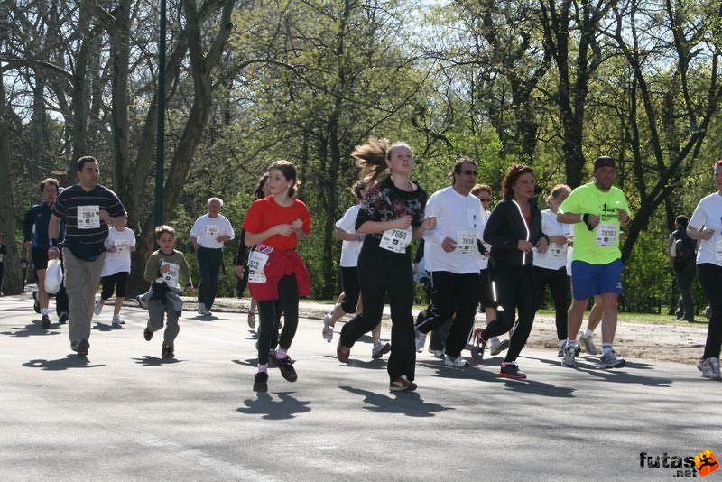 Vivicittá Midicittá Minicittá Városvédő futás és gyaloglás, vivicitta_midicitta_8405.jpg