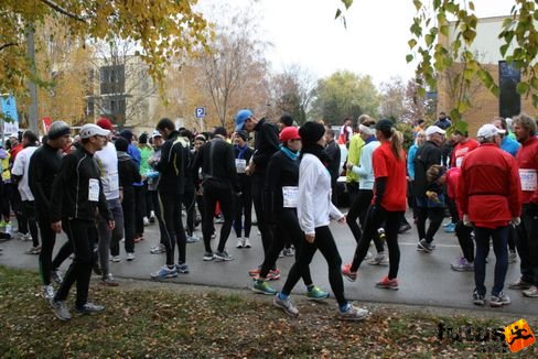 rajtzóna Balaton Maraton futás