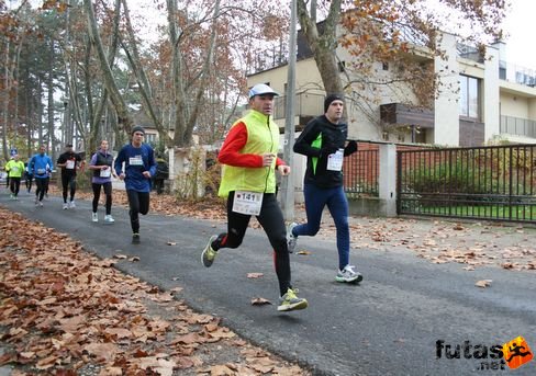 Vogl Péter Balaton Maraton futás