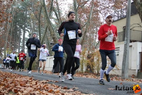 Boros Ferenc Balaton Maraton futás