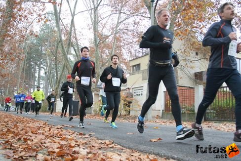 balaton_maraton_siofok_1301.jpg Balaton Maraton futás