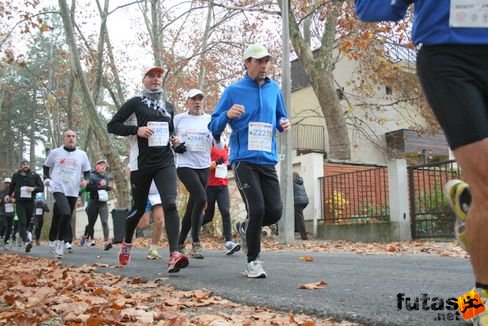 Bereczki Sándor Balaton Maraton futás