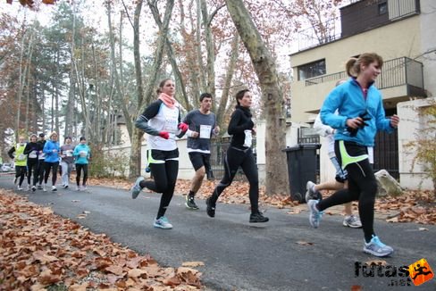 balaton_maraton_siofok_1339.jpg Balaton Maraton futás