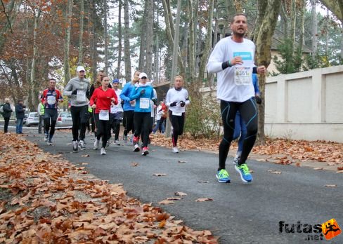 Nedjalkov Iván Balaton Maraton futás