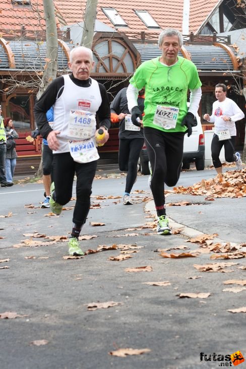 Nagy Zoltán  Sprint Futóklub Tata,  Domán Gábor Balaton Maraton futás
