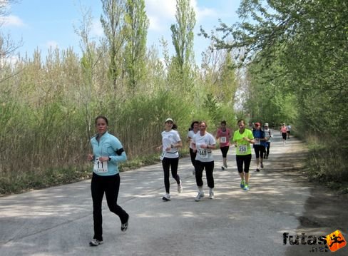 futas154.jpg Velencei-tó futás
