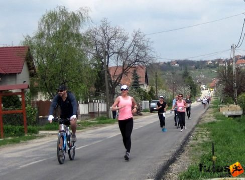 futas177.jpg Velencei-tó futás