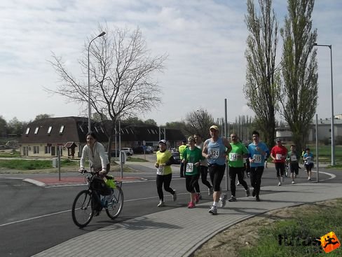 velence12.jpg 2012. április 15. Velencei tókör futás