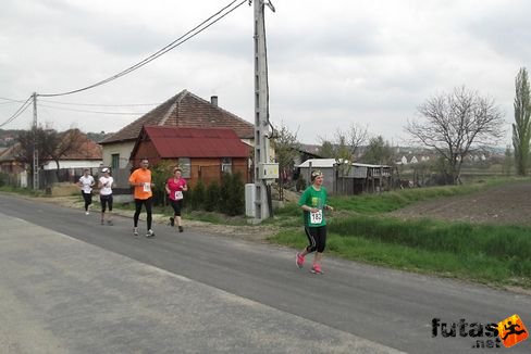 velence40.jpg 2012. április 15. Velencei tókör futás