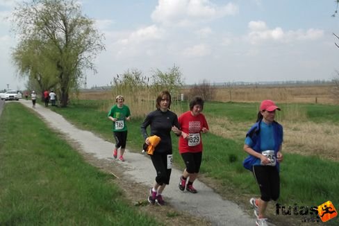 velence52.jpg 2012. április 15. Velencei tókör futás