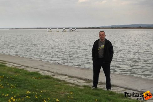 velence75.jpg 2012. április 15. Velencei tókör futás