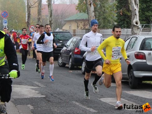 Berecz Lajos Balaton Marathon futás