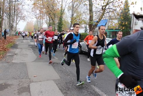 felmaraton-4091.jpg Balaton Marathon futás