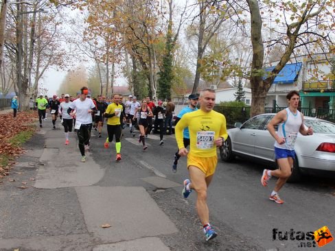 felmaraton-4095.jpg Balaton Marathon futás