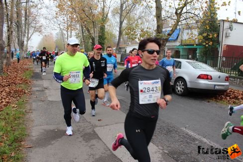 felmaraton-4097.jpg Balaton Marathon futás