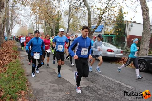 Ármin Pulzus Szeged Futóklub Balaton Marathon futás