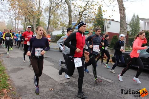 felmaraton-4101.jpg Balaton Marathon futás