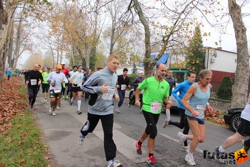felmaraton-4108.jpg Balaton Marathon futás
