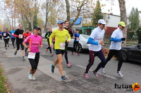 felmaraton-4110.jpg Balaton Marathon futás