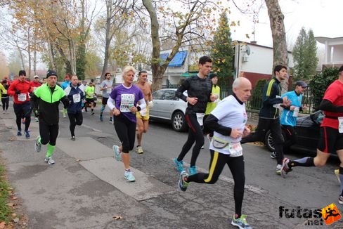 felmaraton-4113.jpg Balaton Marathon futás