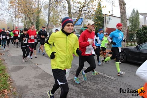 felmaraton-4114.jpg Balaton Marathon futás