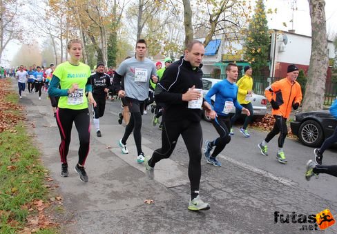 felmaraton-4128.jpg Balaton Marathon futás