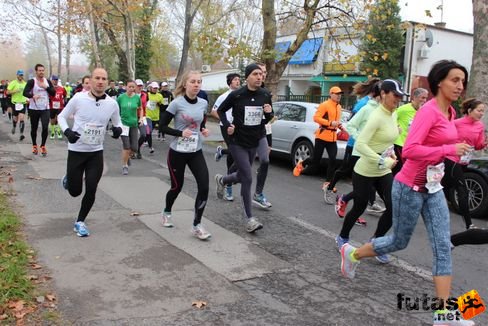felmaraton-4130.jpg Balaton Marathon futás