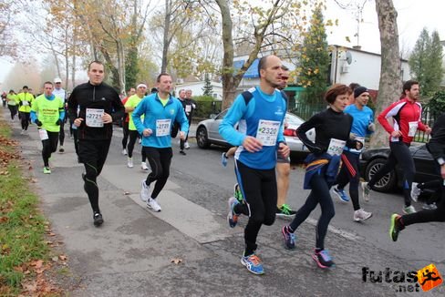 felmaraton-4135.jpg Balaton Marathon futás