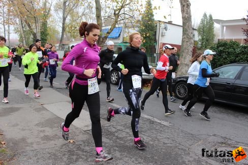 felmaraton-4137.jpg Balaton Marathon futás