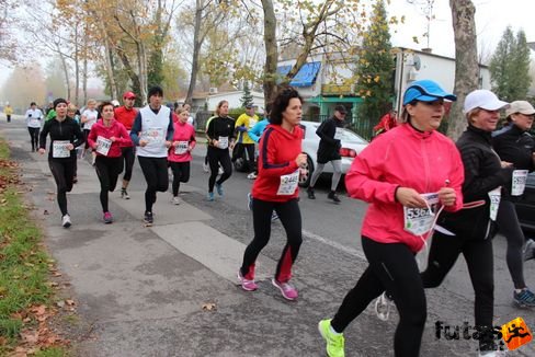 felmaraton-4139.jpg Balaton Marathon futás