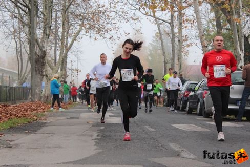 felmaraton-4145.jpg Balaton Marathon futás