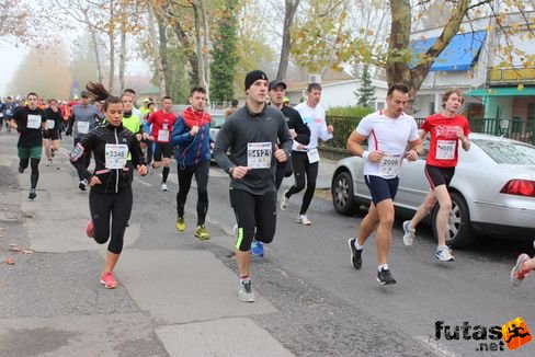 felmaraton-4149.jpg Balaton Marathon futás