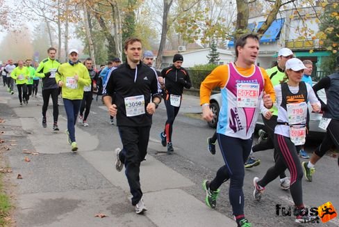 felmaraton-4152.jpg Balaton Marathon futás