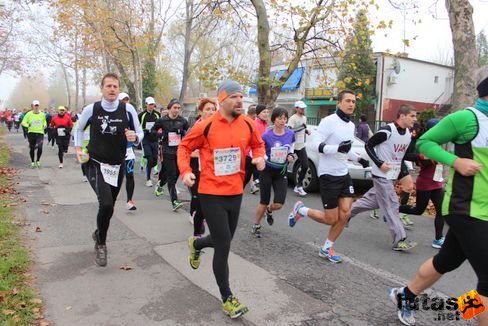 felmaraton-4154.jpg Balaton Marathon futás