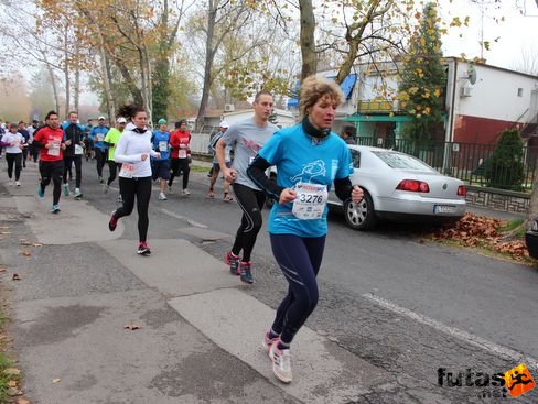 Dalma Balaton Marathon futás