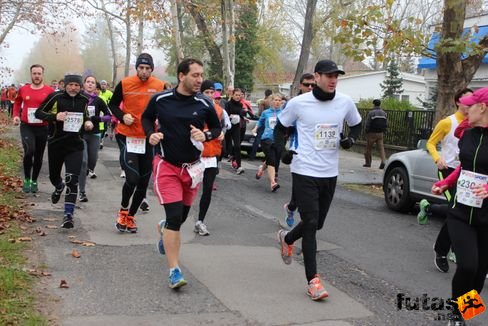 felmaraton-4159.jpg Balaton Marathon futás
