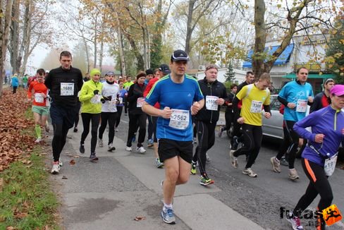 felmaraton-4162.jpg Balaton Marathon futás