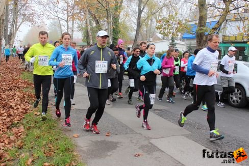 felmaraton-4163.jpg Balaton Marathon futás