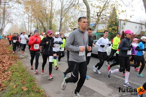 felmaraton-4165.jpg Balaton Marathon futás