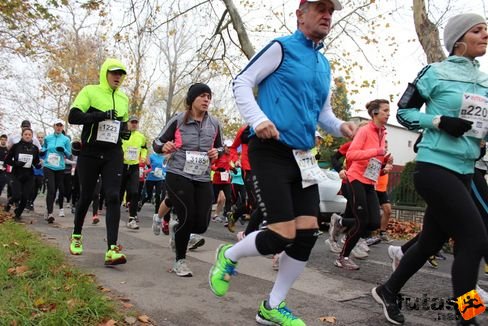 felmaraton-4168.jpg Balaton Marathon futás
