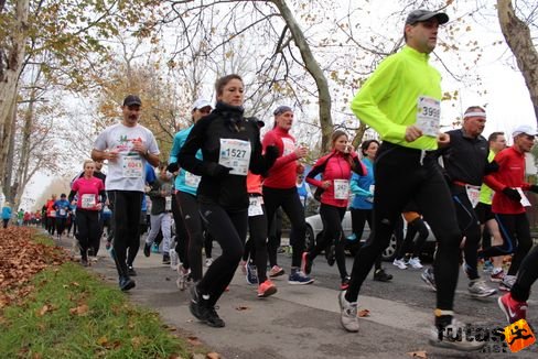 felmaraton-4169.jpg Balaton Marathon futás