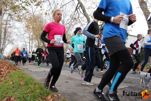 felmaraton-4170.jpg Balaton Marathon futás