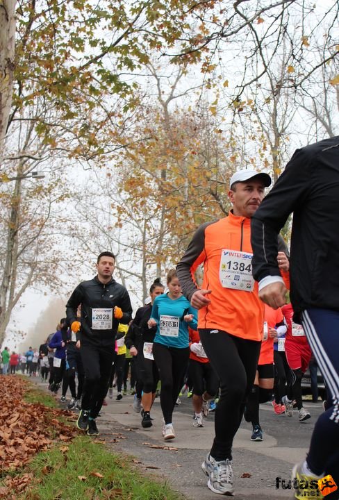 felmaraton-4175.jpg Balaton Marathon futás