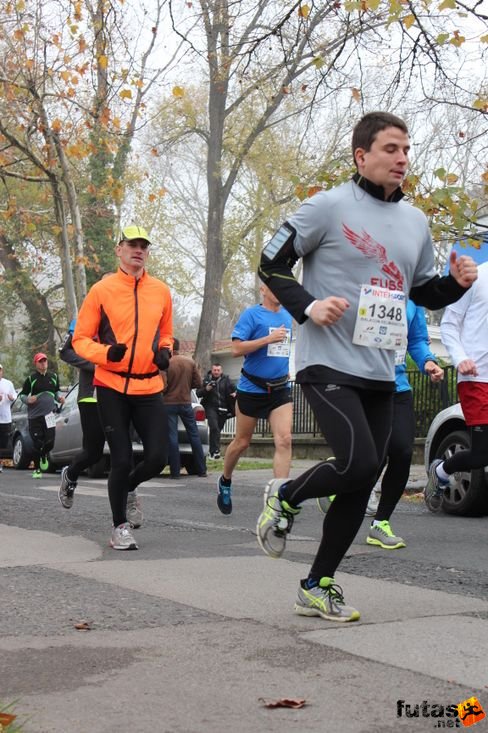 felmaraton-4181.jpg Balaton Marathon futás
